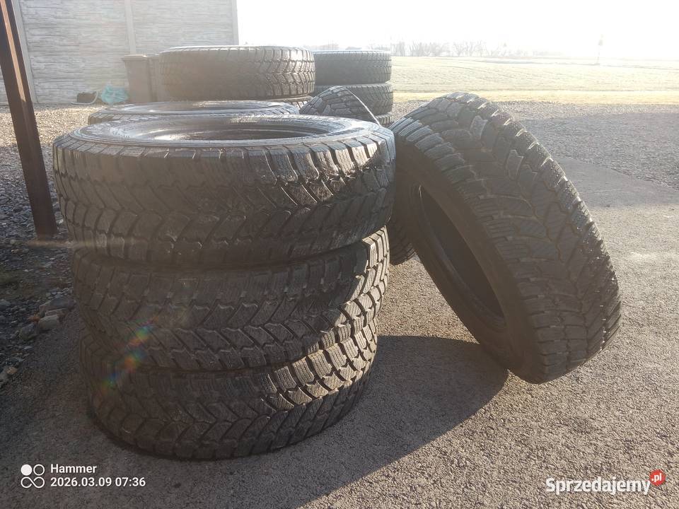 Opony BUS całoroczne MS