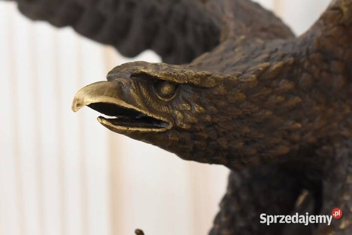 Atakujący Orzeł z Rozłożonymi Skrzydłami Rysunek i rzeźba Kraków