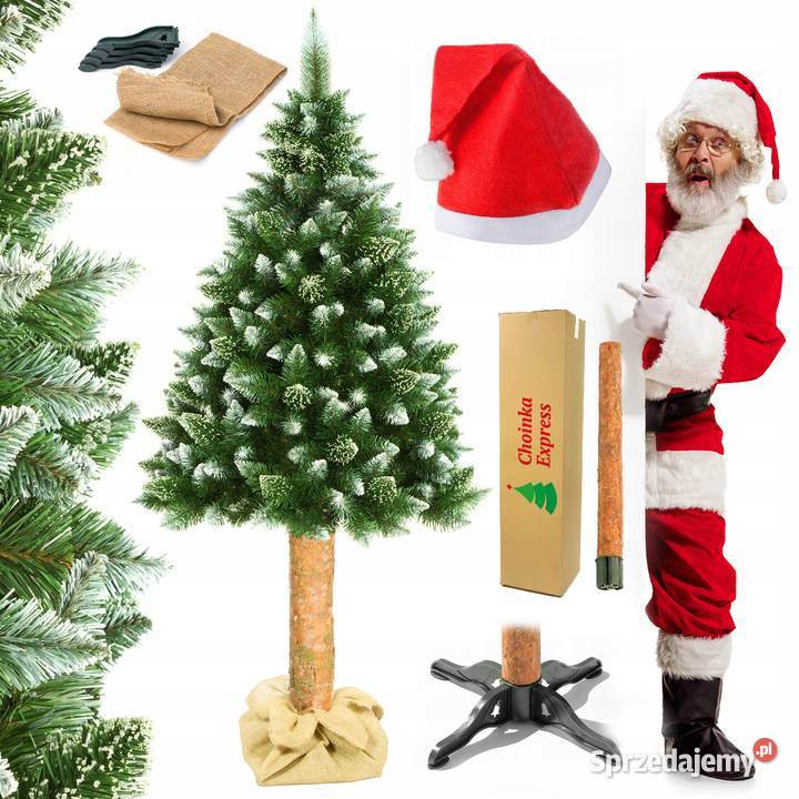 CHOINKA NA STOJAKU 180 SOSNA DIAMENTOWA PIEŃ Kielce