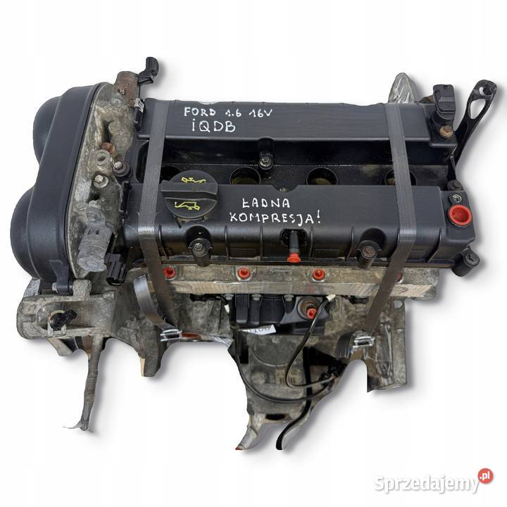 SILNIK IQDA IQDB IQDC Ford Focus III MK2 C C II Chełm