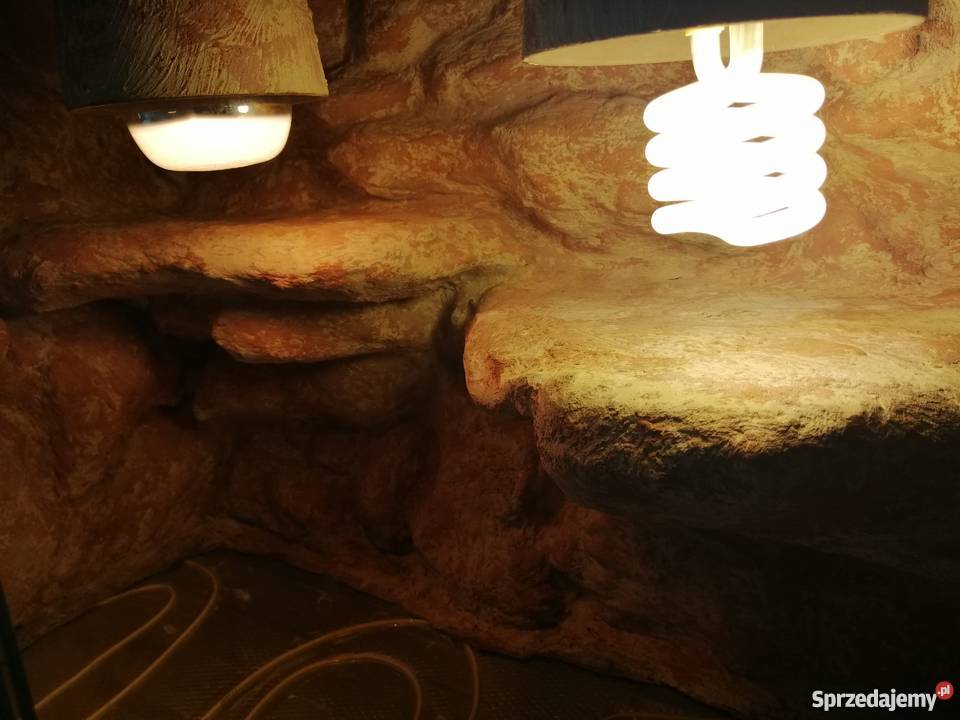 Terrarium pustynne w pełni wyposażone Poznań