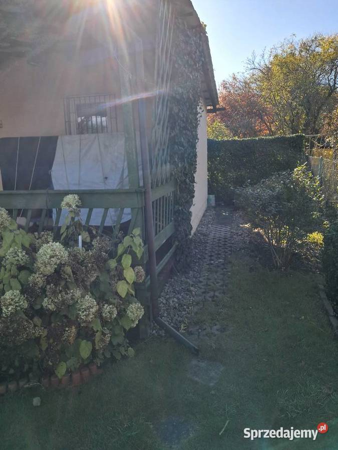Działka ROD Przylesie z domkiem w Toruniu Toruń