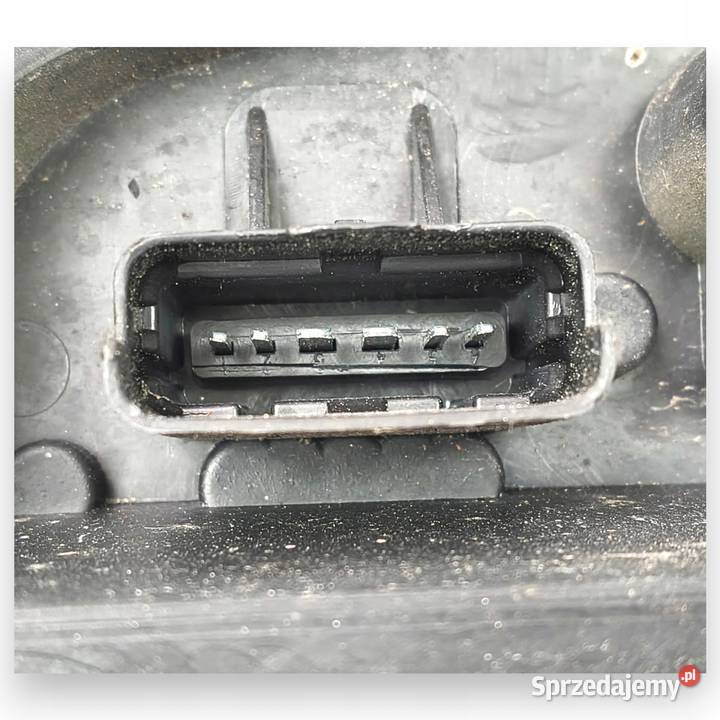 WKŁAD TYLNEJ LAMPY LEWY Renault Clio III osobowe Chełm