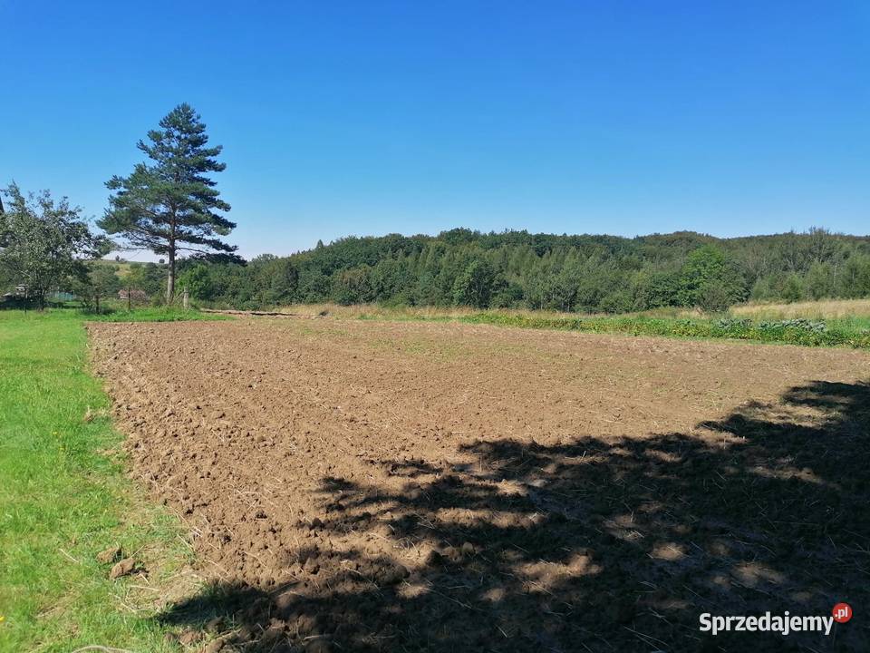 Sprzedam domek Sadki gmina Nowy Żmigród 2300m2