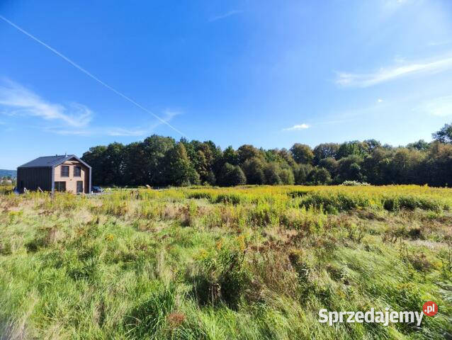 sprzedaży ziemi Wojcieszyce 1350m2