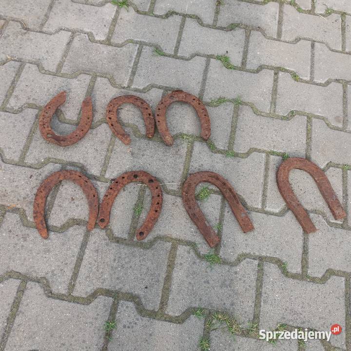 Podkowy konia na ssczęście Konie Świdnik Duży sprzedam