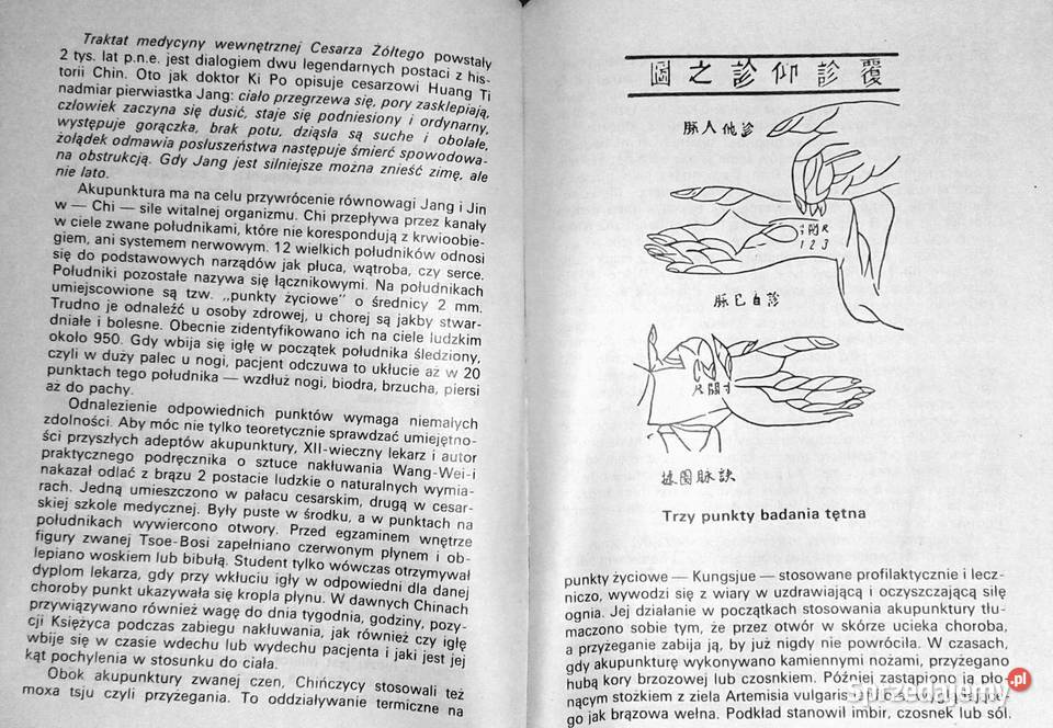 medycyny Barbara Hill lubelskie Chełm sprzedam