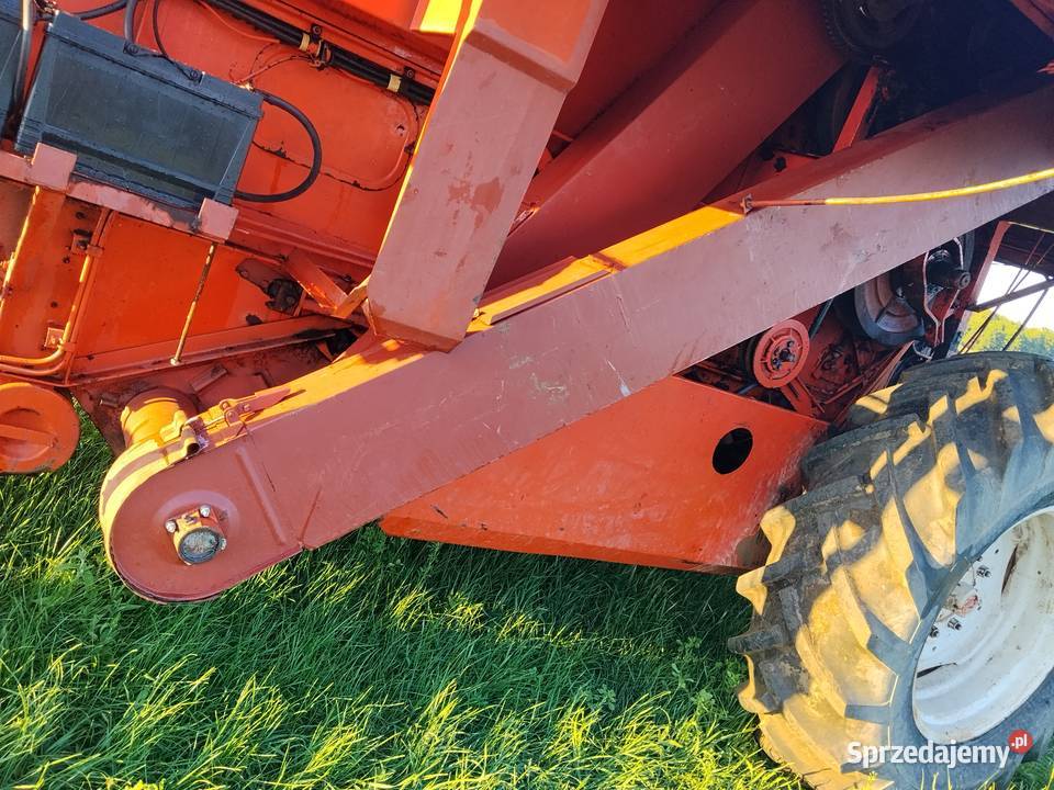 Bizon na części stary i nowy typ silnik skrzynia Maków Mazowiecki sprzedam