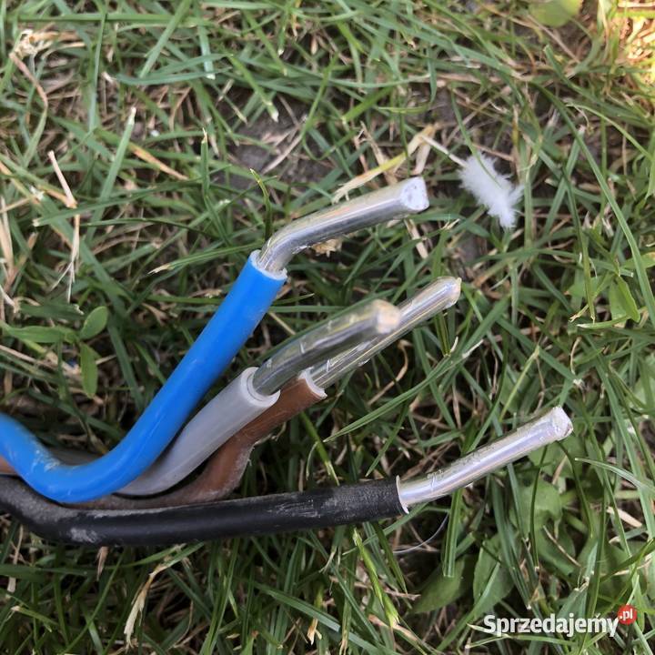 Kabel 4 żyłowy NKT 2021 YAKY4x16RE 6m Poznań