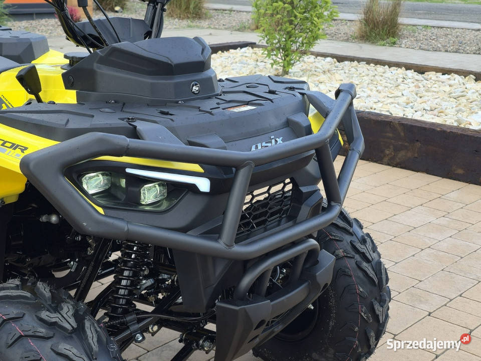 ASIX Inny Quad ASIX Gladiator 110 Transport Raty Bicz