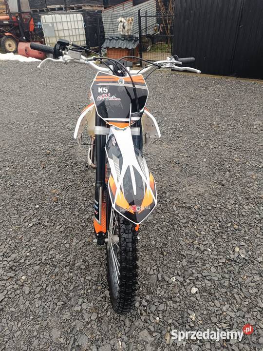 Diabolini k 5 250 Jabłonka