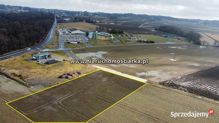 Grunt 4593m2 Gorzyce sprzedam