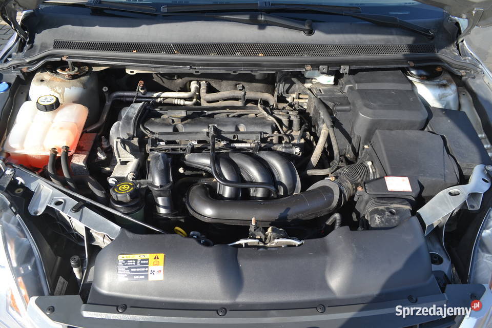 Ford Focus z Niemiec OPŁACONY 101 Focus