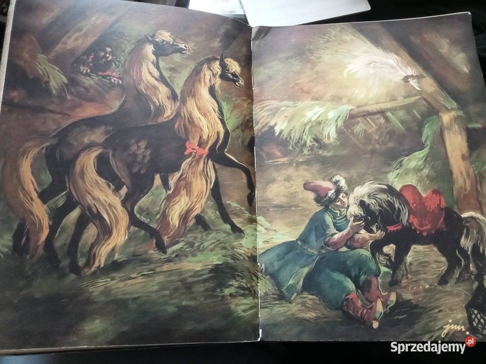 Konik GARBUSEK PIOTR JERSZOW JAN MARCIN SZANCER twarda Grójec sprzedam