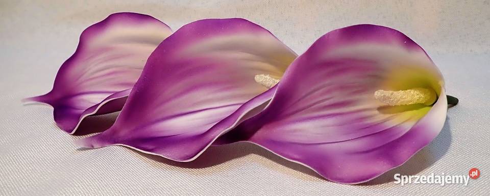 Kalia sztuczna wyrobowa gumowana do bukietów 2 śląskie Siewierz