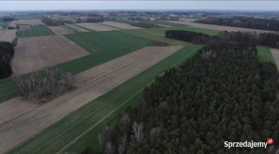 Działka rolna z możliwością budowy w uroczej 25m Grunty i działki Bardzynin