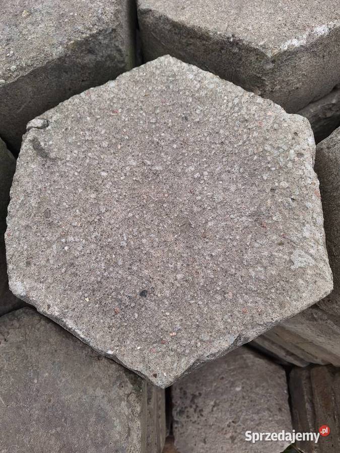 Trylinka sześciokątna Warszew