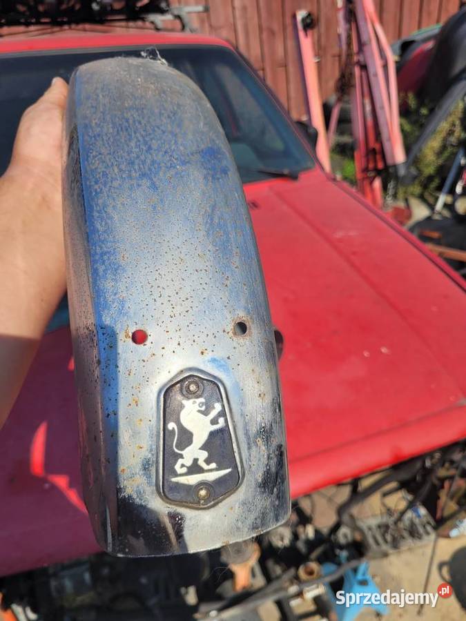 Błotniki logo emblemat Wierchowina Wodzisław Śląski