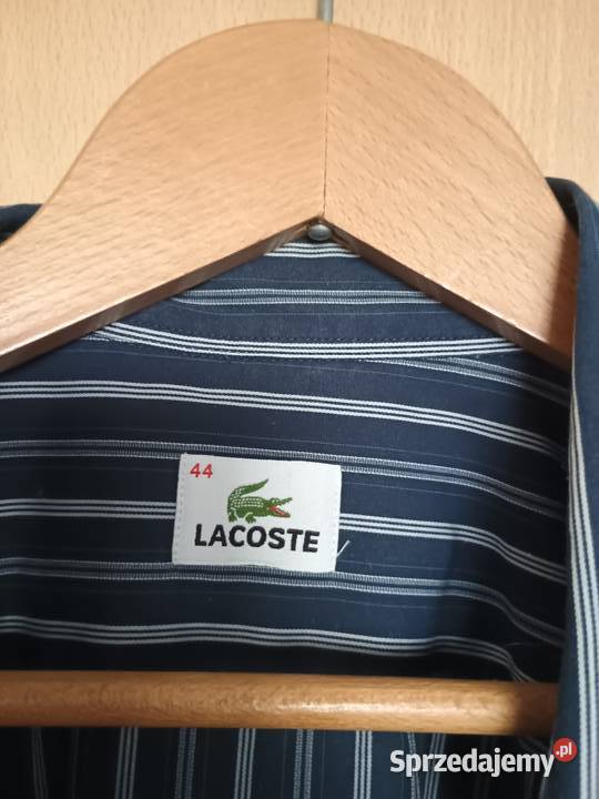 zestaw 3 koszul XL lacoste pierrecardin hilfiger