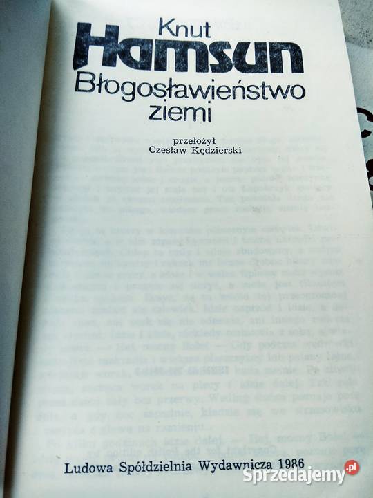 Hamsun Błogosławieństwo ziemi literatura piękna - proza zagraniczna sprzedam