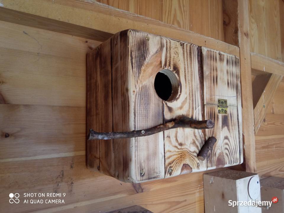 Budki lęgowe drewniane budka lęgowa papug Helenów