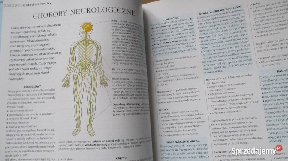 Wielki poradnik rodzinny dom hobby zdrowie Poradniki, albumy i reportaże