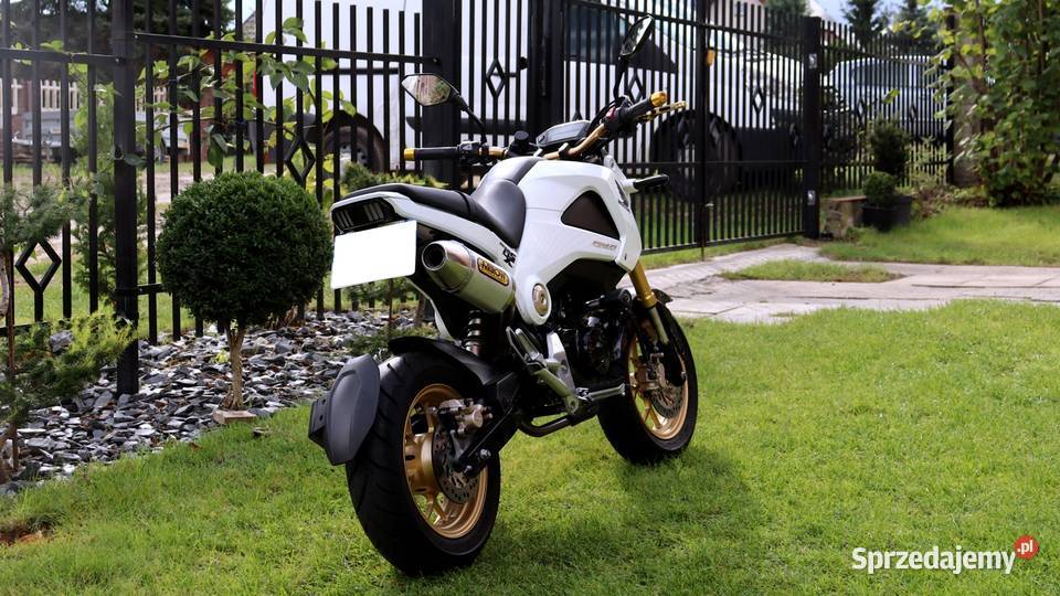 Honda MSX 125 Grom katB naked Honda Honda Sieradz
