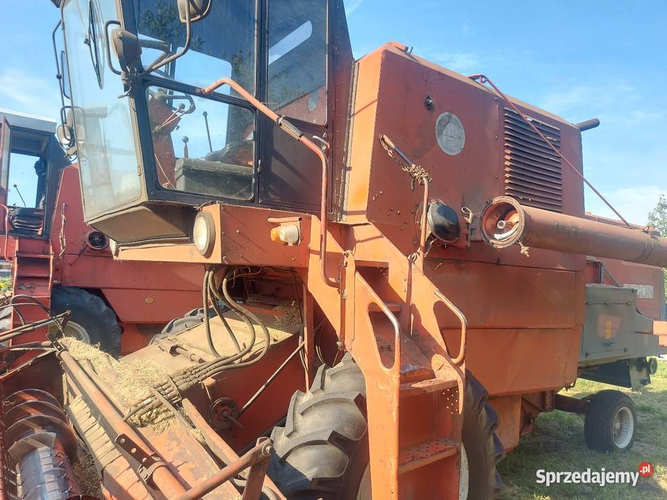 Bizony z 056 Konin sprzedam