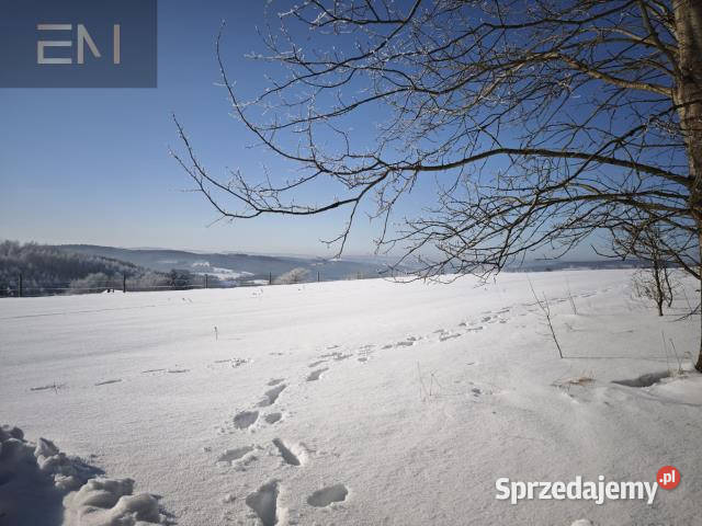 Grunt 4700m2 Gwoźnica Górna