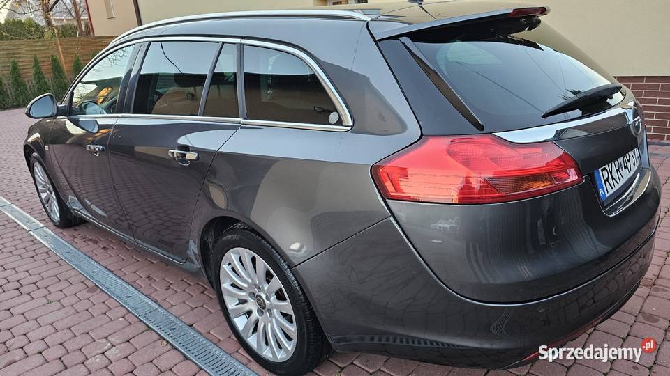 Opel Insignia 20 CDTI 130 2009 Xenon 218000km Zarszyn