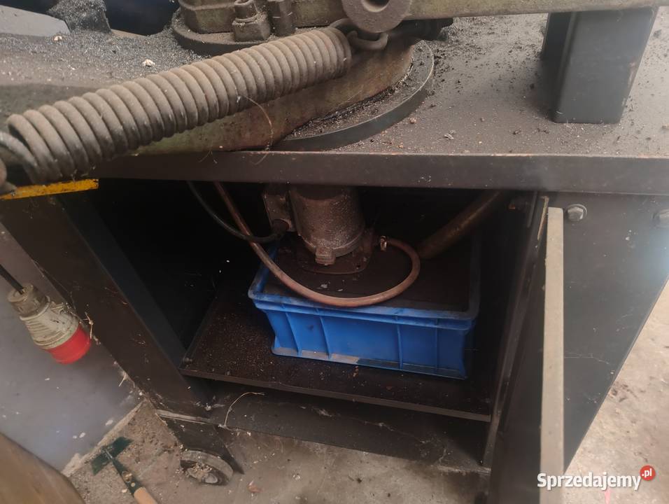 Piła tasmowa Głubczyce