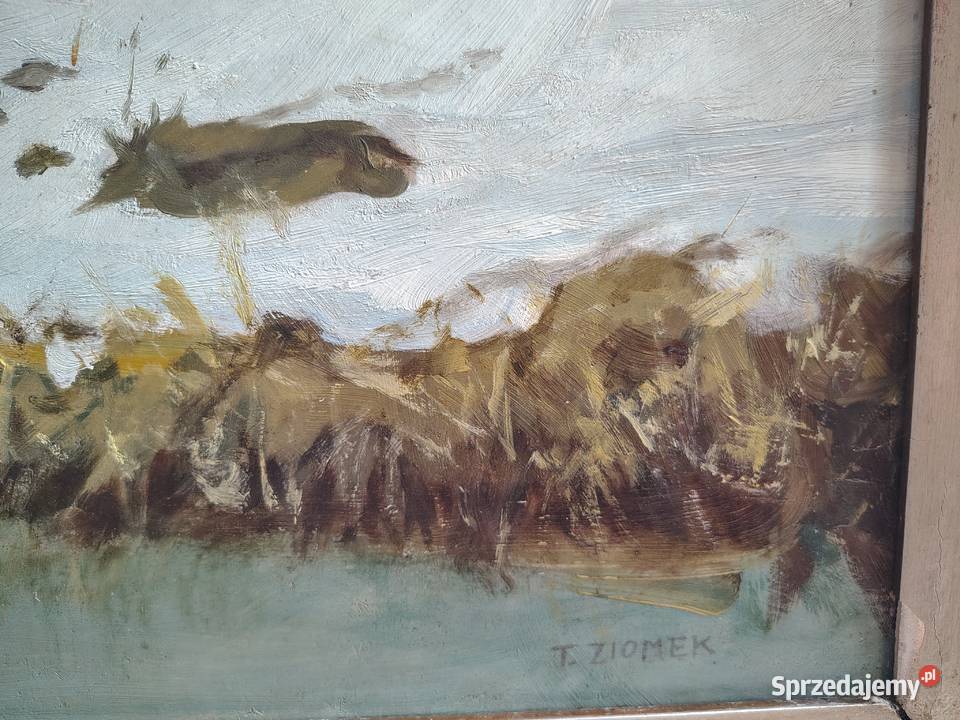 Zimowe roztopy obraz olejny antyk Kartuzy sprzedam