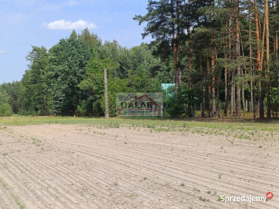 sprzedaży gruntu 2106m2 Wola Pieczyska 81m Sprzedaż