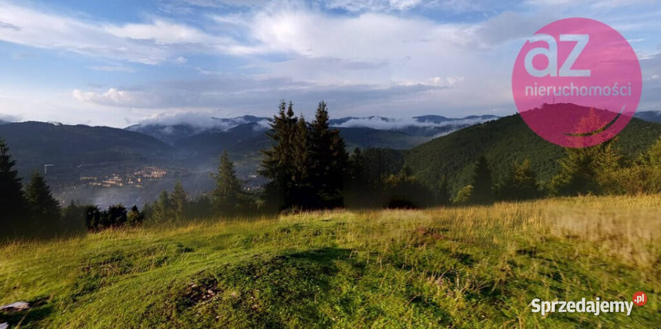 Malownicze 2 działki rolne w Szczawnicy Sprzedaż Szczawnica