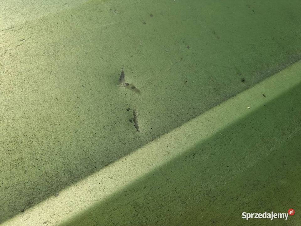 DRZWI LEWE PRZÓD FSMBIELSKO B POLSKI FIAT 170700 Lipno