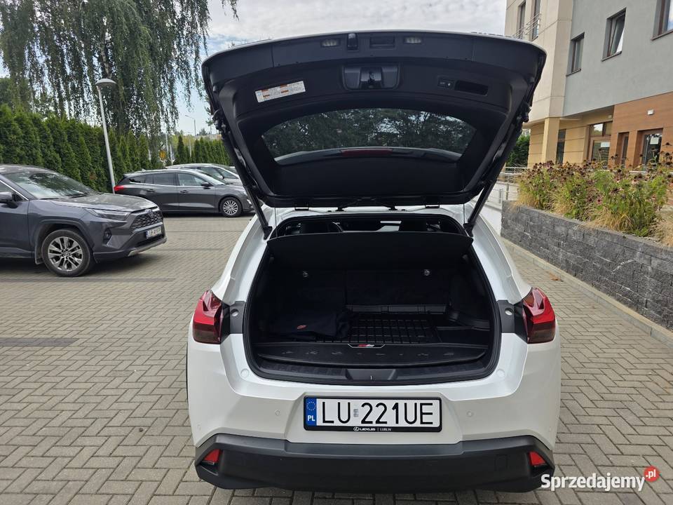 Lexus UX 250H Omotenashi Mark Levinson Już Lublin