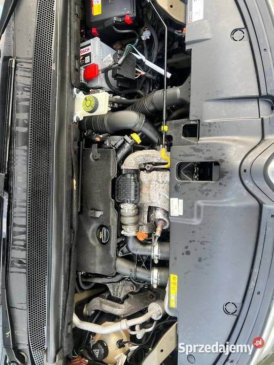 Citroen Picasso C4 16 HDI 116 elektryczne lusterka Starogard Gdański