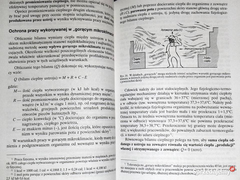 Bezpieczeństwo i higiena pracy Arwid Hansen Chełm