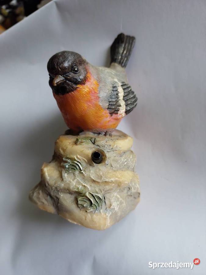 Mały ptaszek na fotokomórkę ćwierka dolnośląskie Wrocław