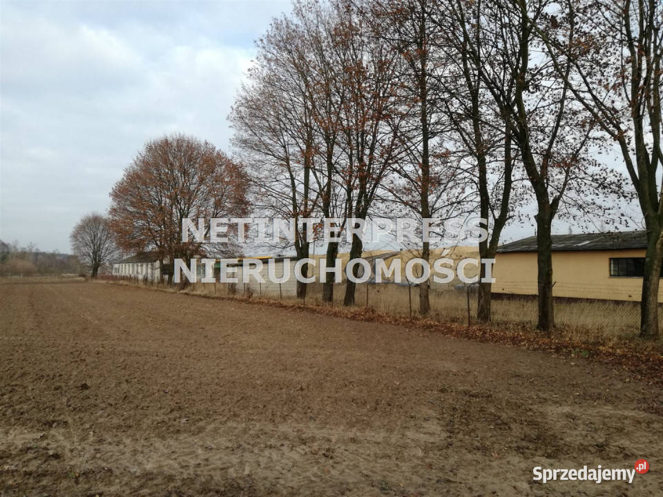 Sprzedam grunt Puławy 5051m2