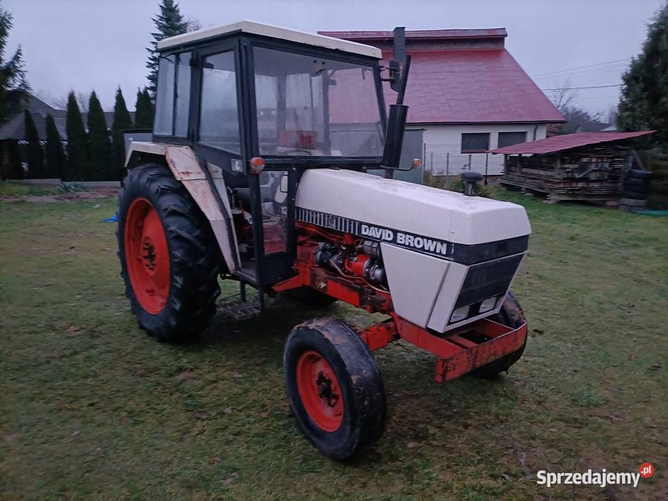 Case David Brown 1290 58 lubelskie Krzczonów Trzeci