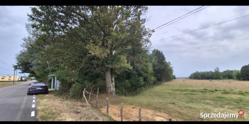 Działka rolna 11900m2 gmina Leoncin Secymin Polski