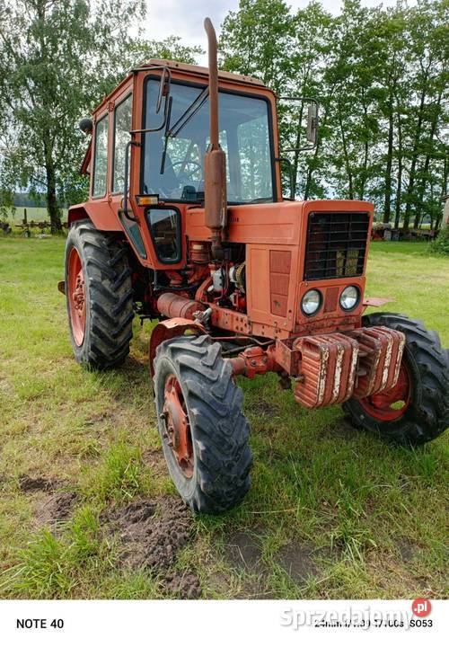 MTZ 82 z pług 4 skibowy Agro masz MTZ sprzedam