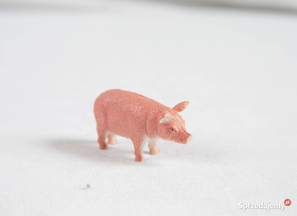 Zestaw 5 małych figurek zwierząt Gdańsk