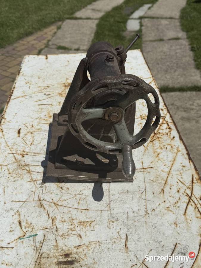 Konik tokarski Łaziska Górne