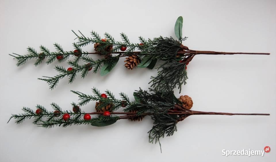 Gałązka świąteczna szyszki czerwone jagody 50 Lublin sprzedam