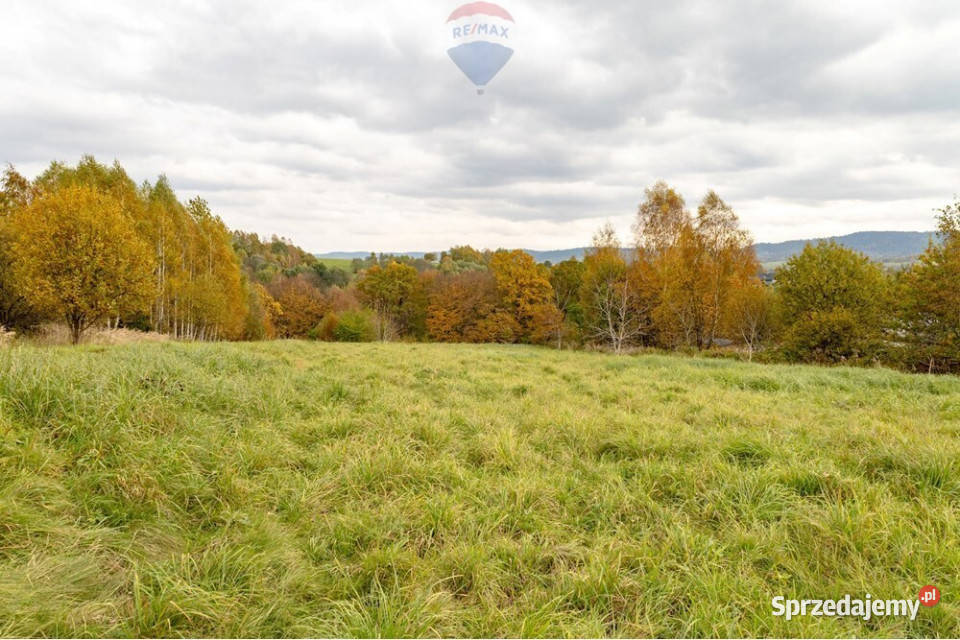 Działka rolna w Oczkowie Żywiec