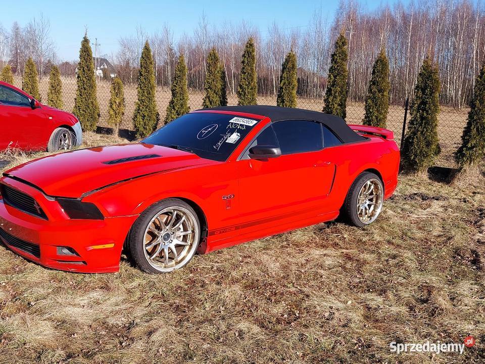 Mustang Gt California Special 2014r automat Rososza
