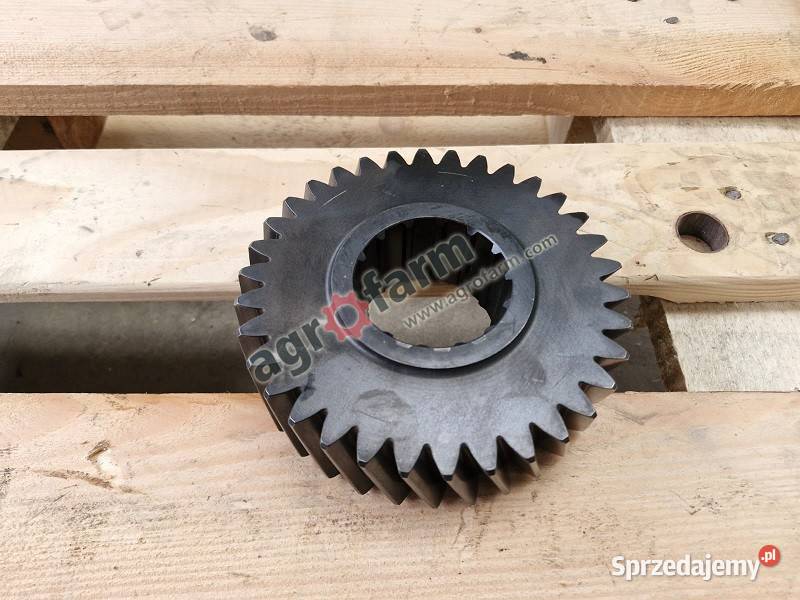 Koło zębate Massey Ferguson 5425 6260 6120 6180 dolnośląskie Byków