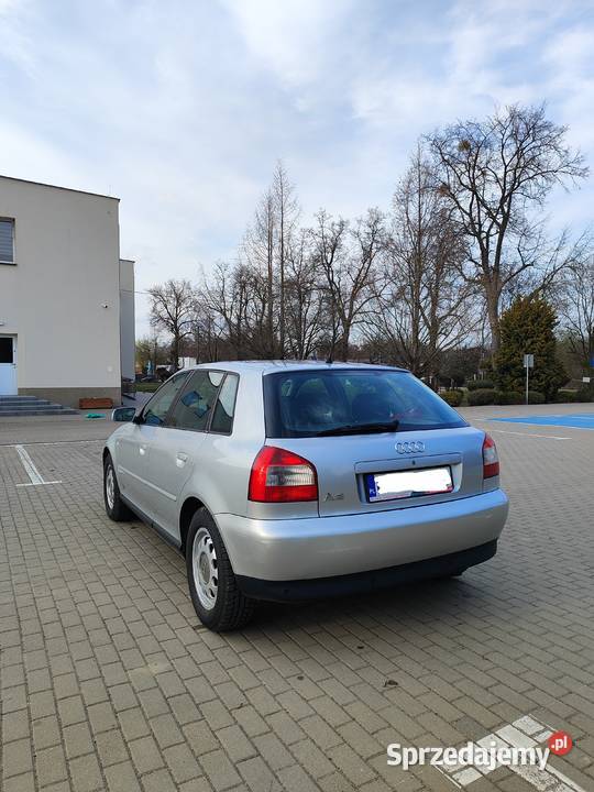 Audi A3 8P 16 benzyna Jabłoń
